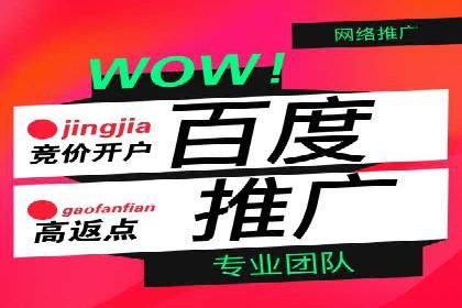 某品牌SEM运营托管的ROI提升之路